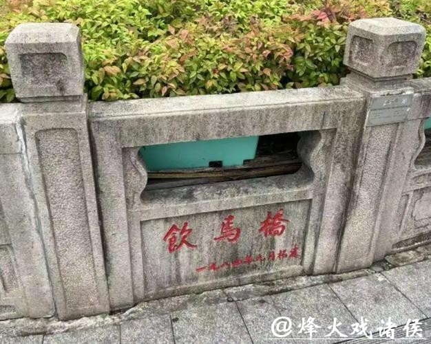 苏州的马:东南西北、五颜六色 苏州的马:东南西北、五颜六色