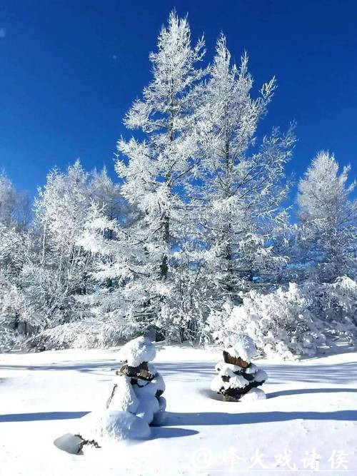 冬游“神州北极”漠河